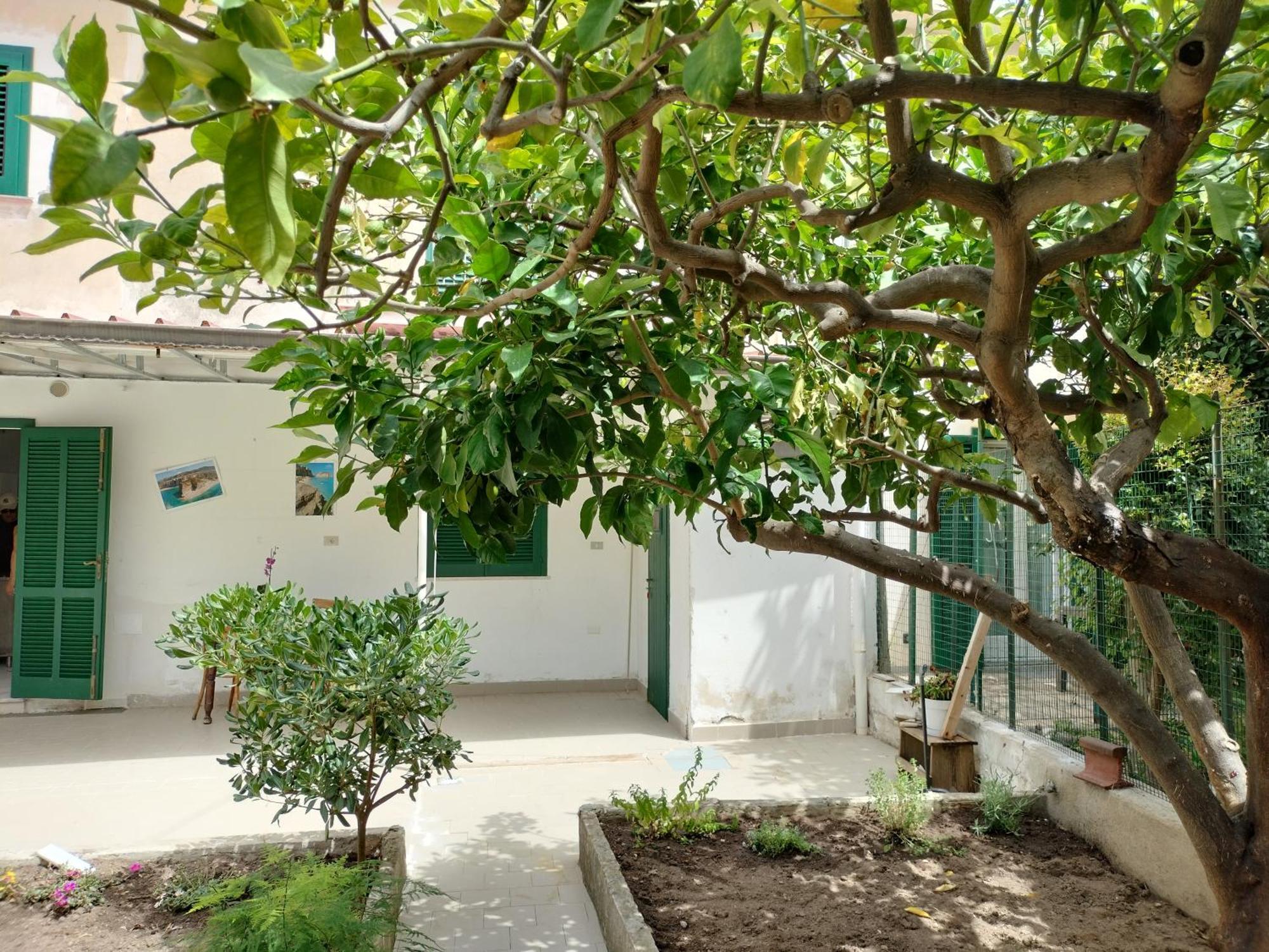 Ferienwohnung Sunny House Parghelia Exterior foto